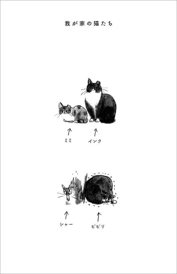 元野良猫を飼うのはたいへん