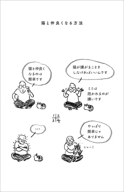 猫と仲良くなる方法