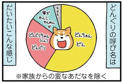 どんぐりの呼び名