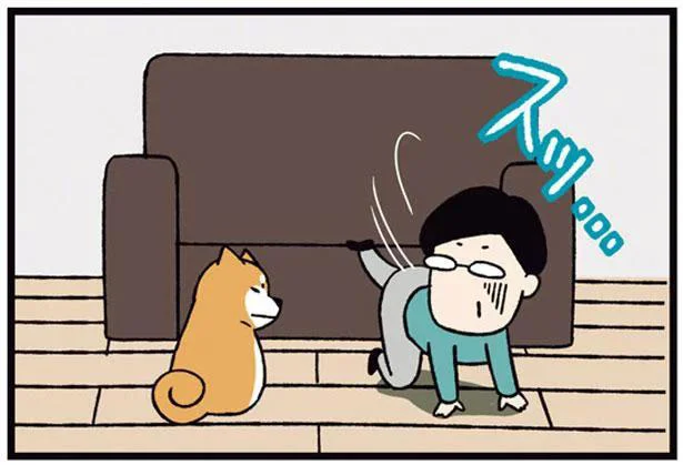 「そこどいて！」ソファの定位置を奪った父への圧がすごい犬／ドヤ顔柴犬どんぐり2（5）