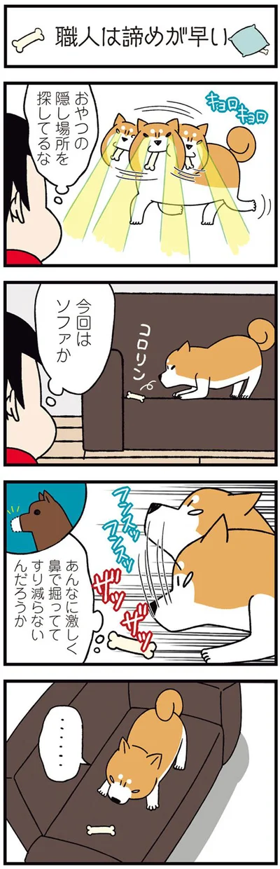 おやつの隠し場所