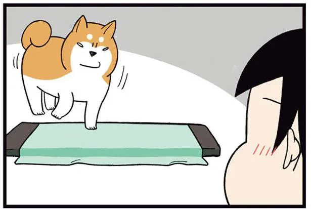 うちの犬にも好感触!?暑さ対策で取り入れたひんやりマットの行方／ドヤ顔柴犬どんぐり2（8）