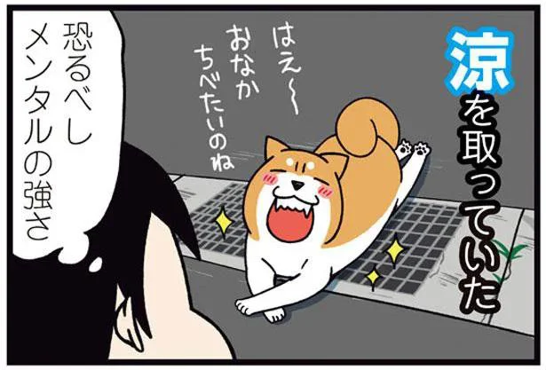 恐るべしメンタルの強さ