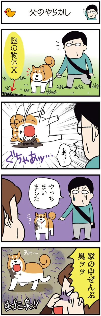 やっちまいました