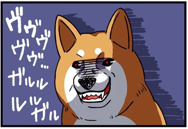 間違いでも引っ込みつかない！うなり出した犬の捨て台詞／ドヤ顔柴犬どんぐり2（11）