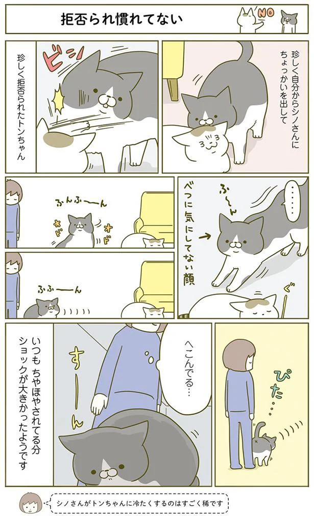 拒否られ慣れてない