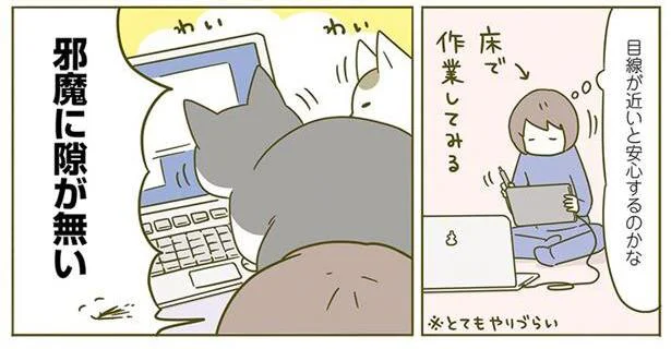 邪魔に隙がない!!
