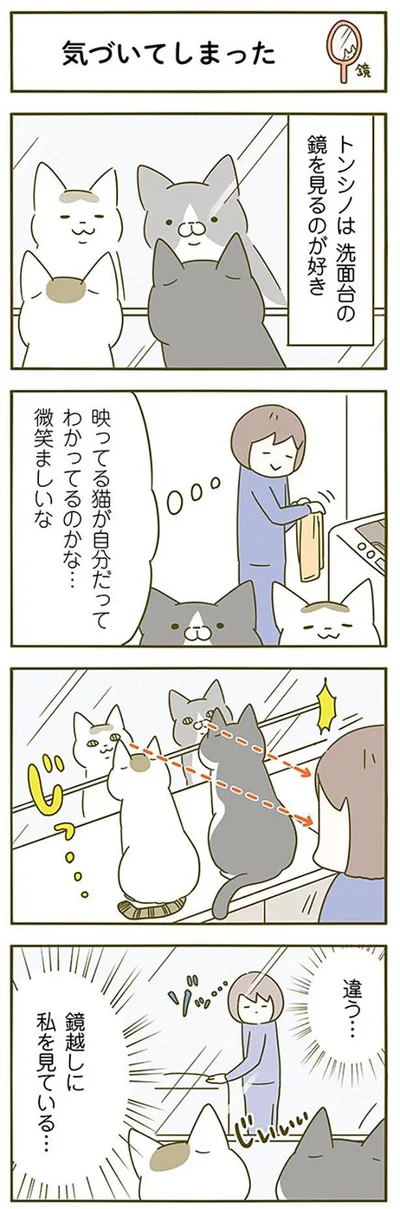 鏡越しに見ていたのは…