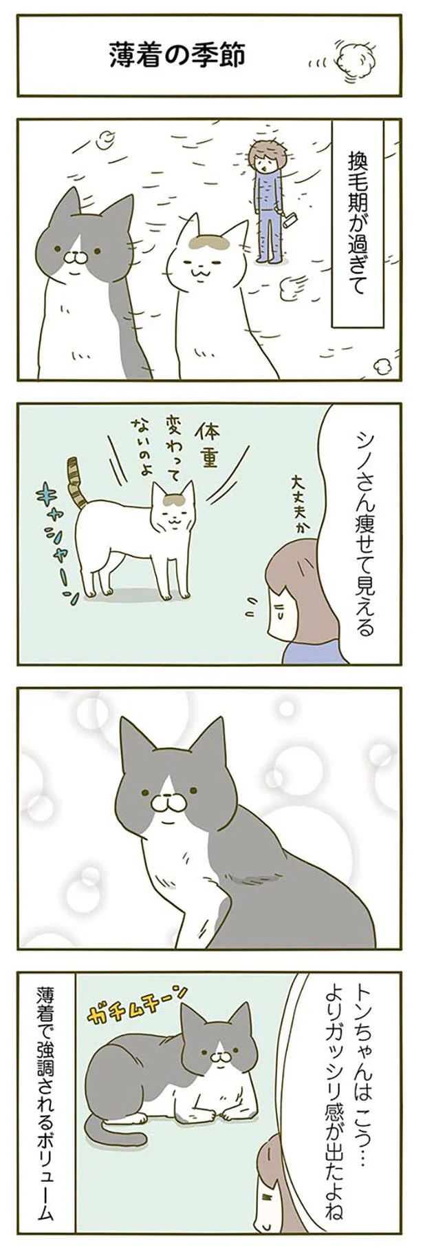 薄着の季節