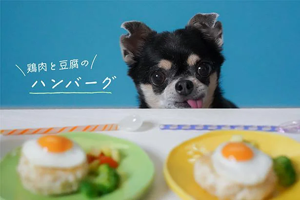 鶏肉と豆腐のハンバーグ