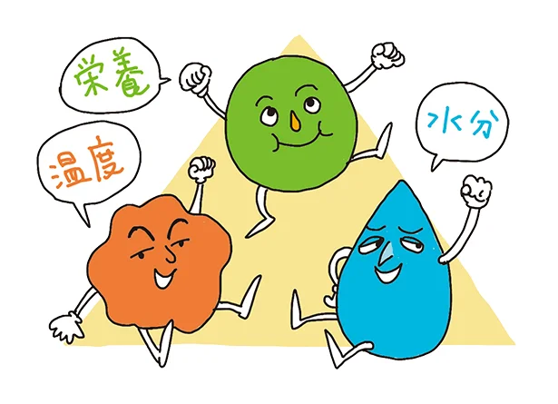 菌が増える条件は、栄養(食品や汚れなど)+温度+水分(湿気)