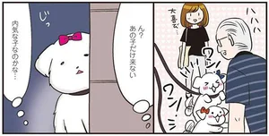 内気な子なのかと思いきや！飼い主を待つ犬の意外な行動／ひとりぐらしも極まれり（5）