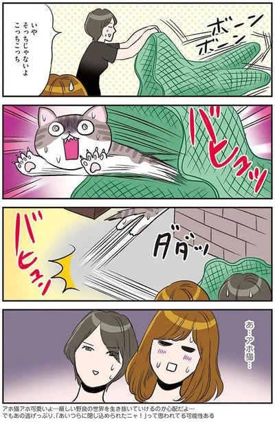 アホの子ほどかわいい…？