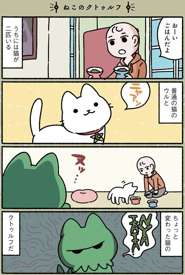 うちには猫が二匹いる