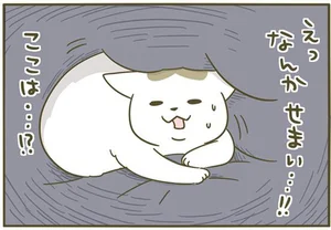 「なんか狭い…？」寝ぼけたうちの猫が大パニック！／うちの猫がまた変なことしてる。3（2）