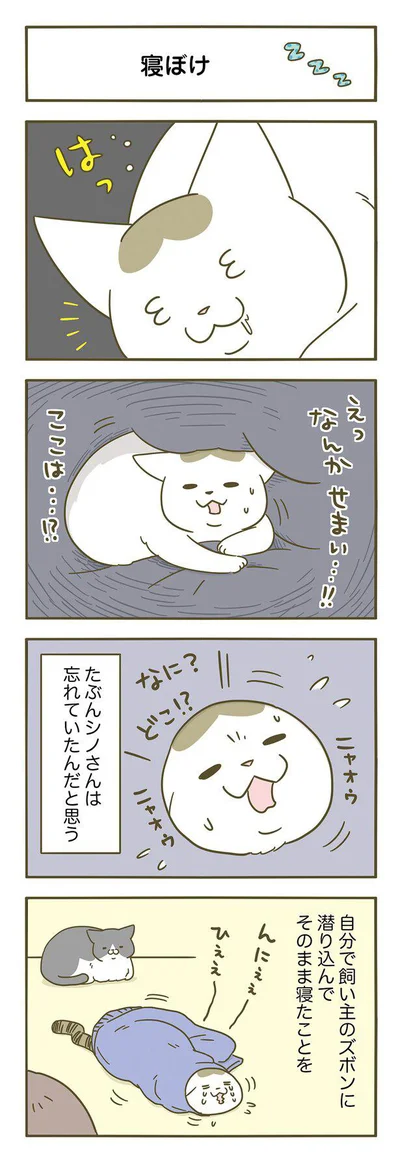 はっ…