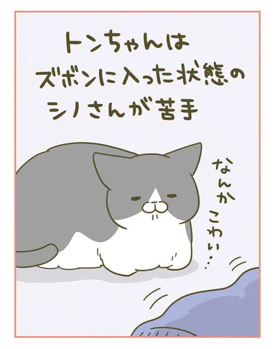 なんか…こわい…