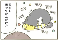 スリッパが大好きな猫。私にも甘えてくれていいんですよ！／うちの猫がまた変なことしてる。3（3）