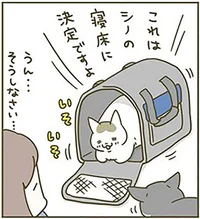 新しいもの好きな猫が大喜び！ 猫用キャリーを導入しました／うちの猫がまた変なことしてる。3（4）