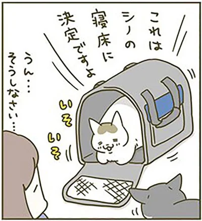 これはシノの…