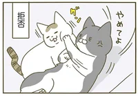 理不尽！ 猫も納得いかないときはそういう顔をするんだと気づいた日／うちの猫がまた変なことしてる。3（5）
