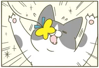 やる気は認めてあげたい。頑張ってるけどなんだかトロい猫／うちの猫がまた変なことしてる。3（8）