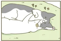身をもって実感！ 猫の毛の隙間から呼吸ができると知りました／うちの猫がまた変なことしてる。3（9）