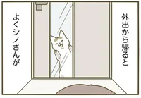 出先から帰るとお迎えしてくれる猫。ありがたいけど、寝てた？／うちの猫がまた変なことしてる。3（11）