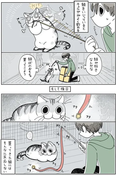 買ってきた紐にはそんなに反応しない