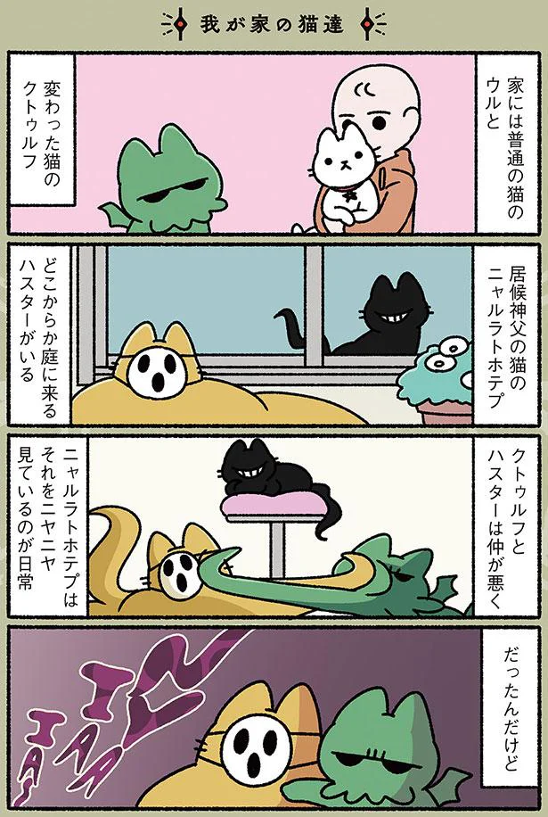 家には普通の猫のウルと