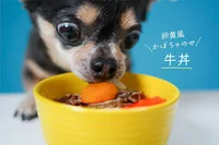 【SNSのアイドル！チワワのあお＆ものが食べる♪】卵黄風かぼちゃのせ牛丼