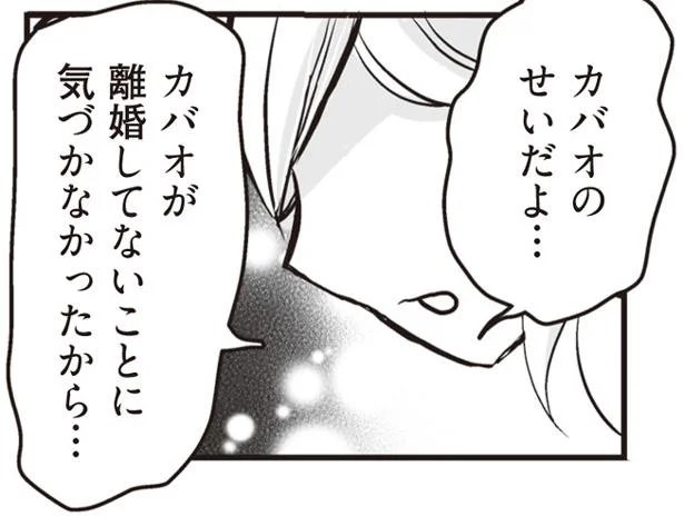 離婚してないことに気づかなかったから…