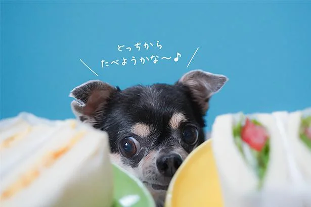 どっちからたべようかな~♪