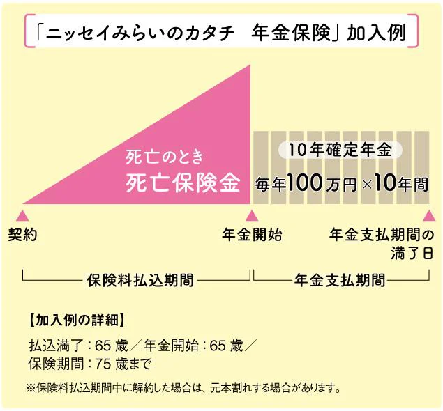  「ニッセイみらいのカタチ　年金保険」加入例