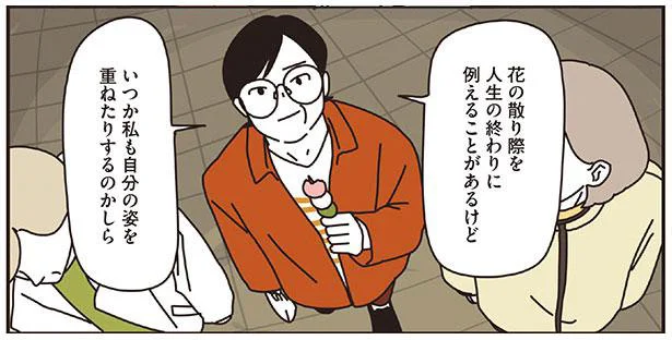 散りゆく桜は自分の姿？夜桜散歩でマダムたちの思うこと／マダムたちのルームシェア（10）