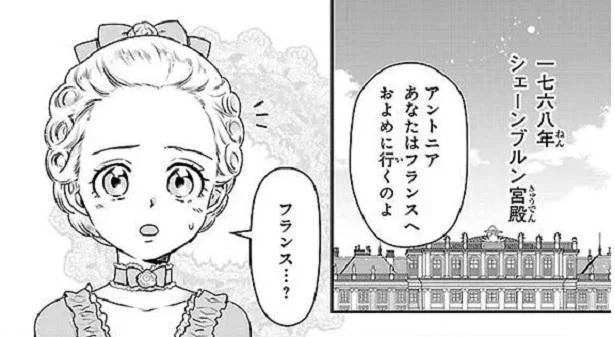 我が国のために失敗は許されない。フランスへ嫁ぐための猛勉強が始まる！【悲劇の王妃マリ・アントワネット】（4）