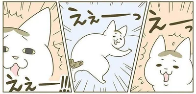 えぇーっ！！！
