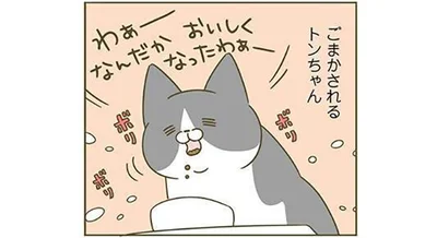 トンちゃんはごまかされる