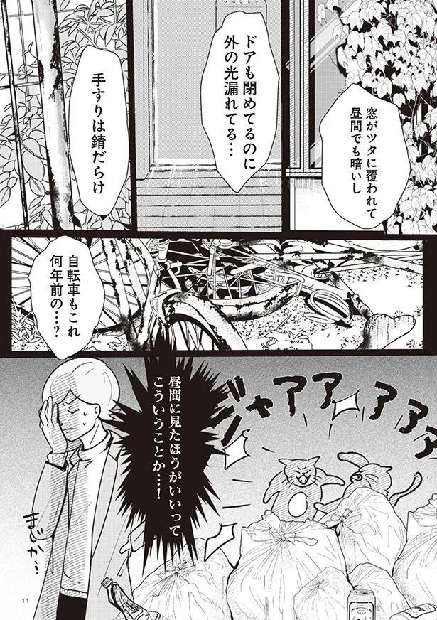 昼間に見たほうがいいってこういうことか…
