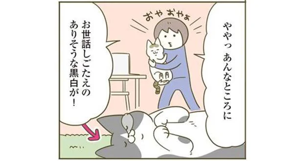 ややっ　あんなところに