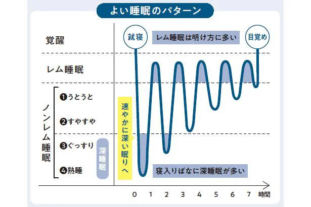 よい睡眠のパターン