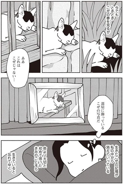 今でもときどきこぜの夢を見るが