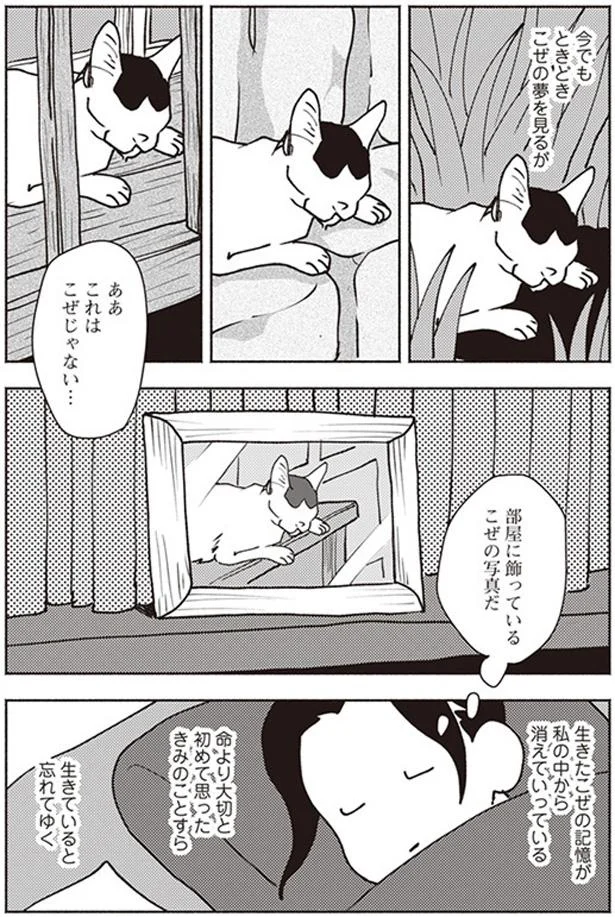 今でもときどきこぜの夢を見るが