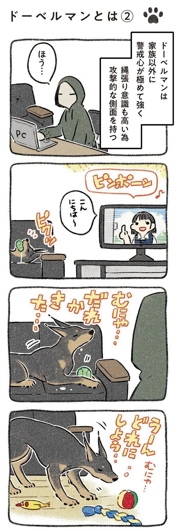 『ドベとノラ 犬がくれた優しい世界』より