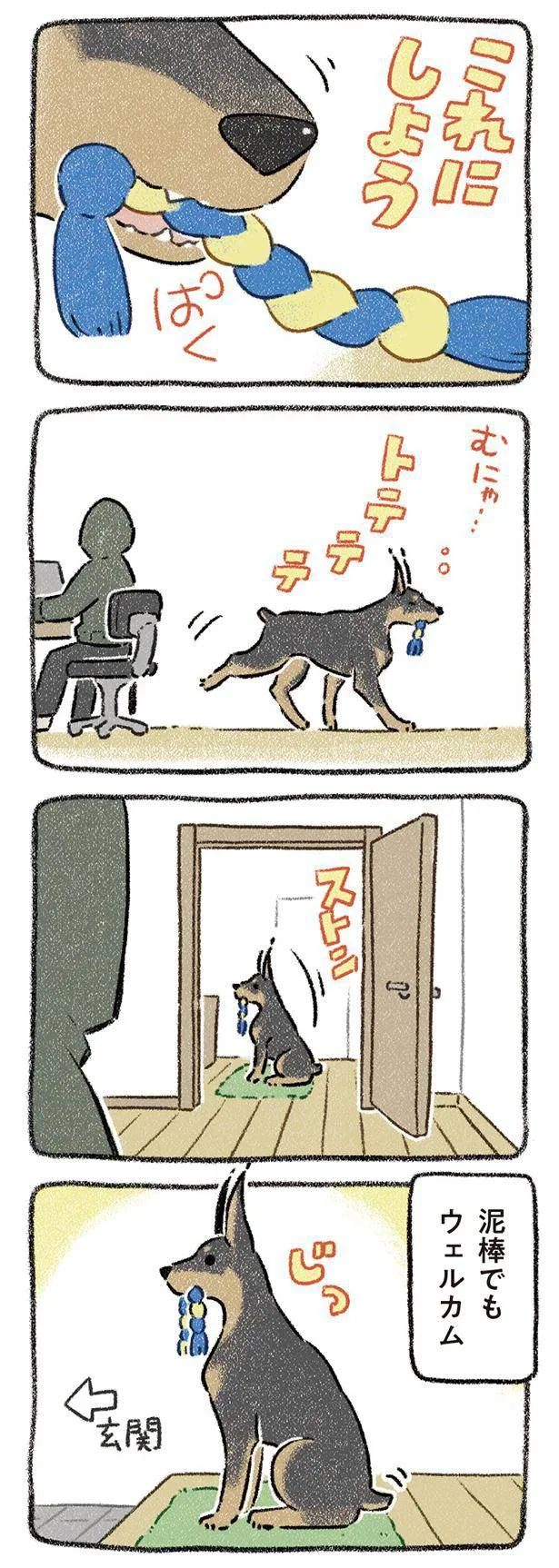 『ドベとノラ 犬がくれた優しい世界』より