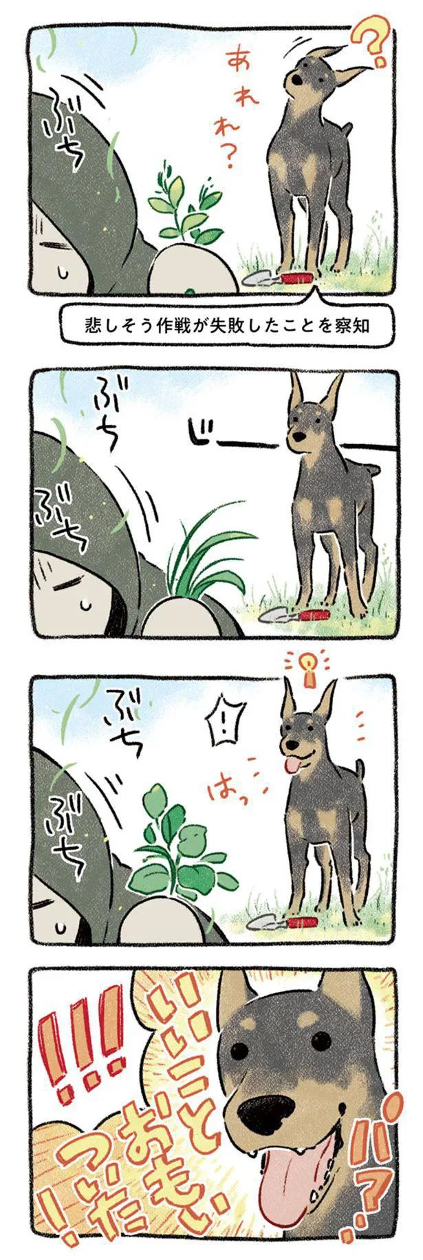 『ドベとノラ 犬がくれた優しい世界』より