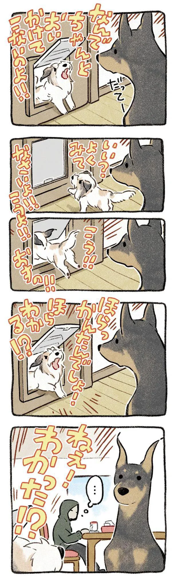 『ドベとノラ 犬がくれた優しい世界』より