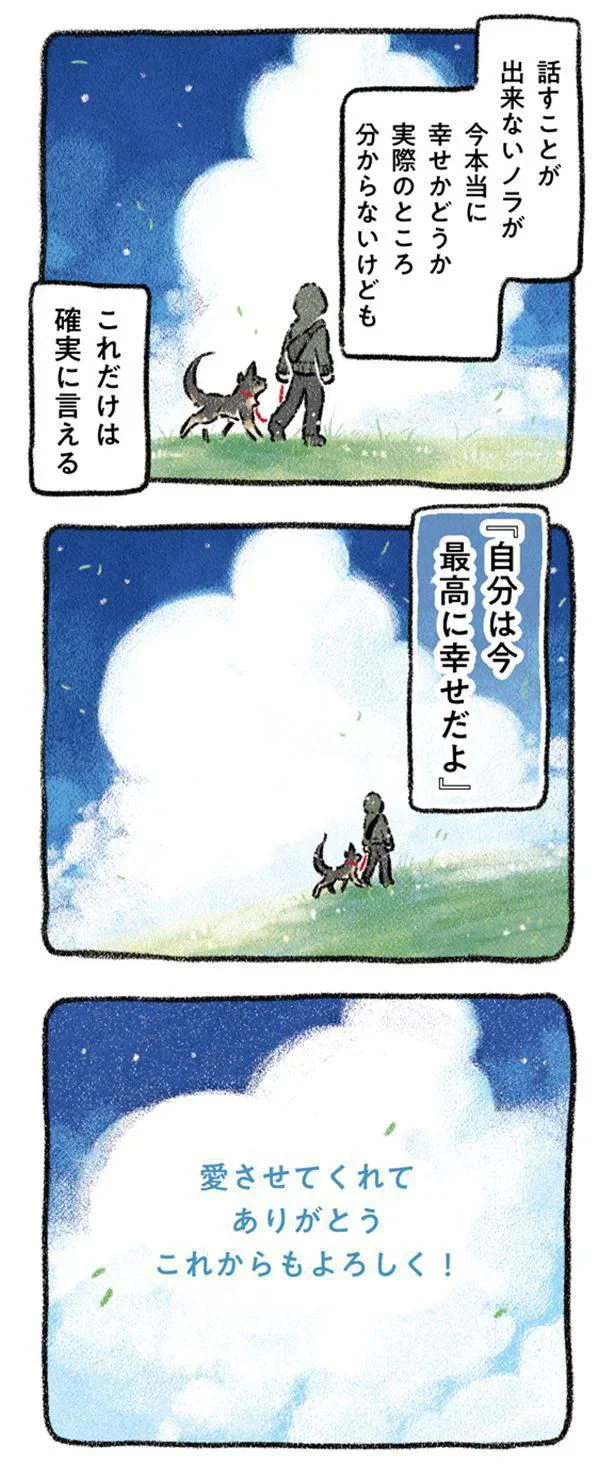 『ドベとノラ 犬がくれた優しい世界』より