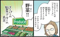 「プロデュース」はイギリスだと野菜！日本のカタカナ語は外国人生徒たちの難敵！／日本人の知らない日本語4（5）
