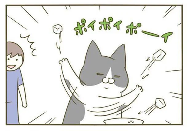 ポイポイポーイ